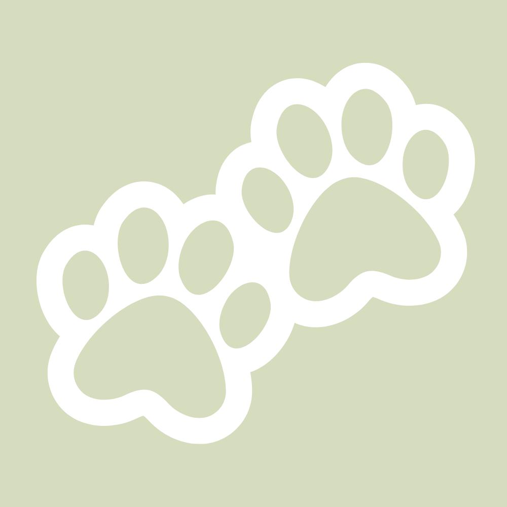 PET BANDANAS
