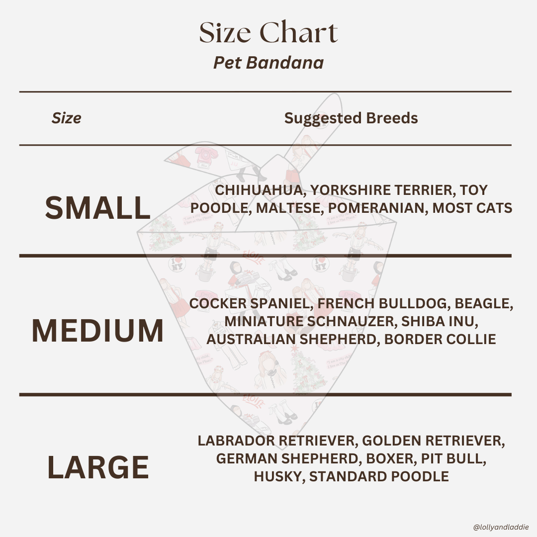 Believing Is Seeing - Pet Bandana (READY-TO-SHIP)